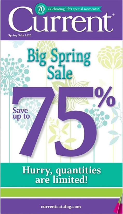 Current catalog - pasta price. flour price. bleach price. tea bags price. Sunlight price. cake flour price. cheese price. All products. The current specials, catalogues and deals from all of your favorite retailers. ⭐ Get the best deals and latest sales specials here at My Catalogue.